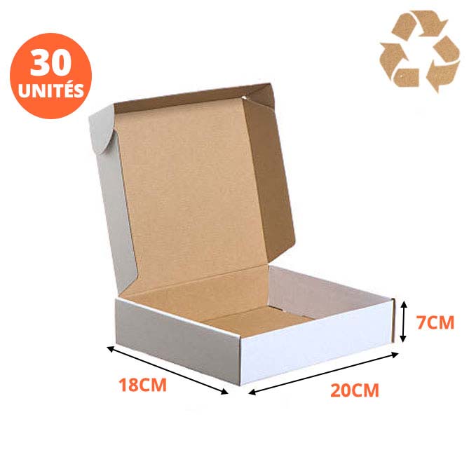 Boite valise 20x18x7 Carton Blanchi